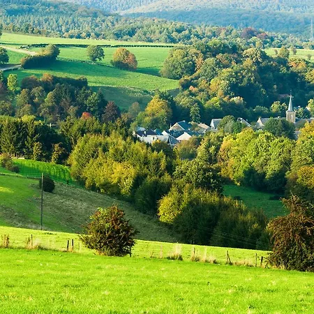 Cozy Holiday Home In Gedinne With Garden